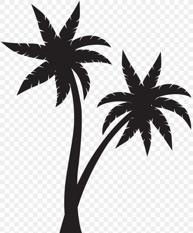 Silhouette Arecaceae Clip Art, PNG, 6641x8000px, Silhouette, Arecaceae, Arecales, Black And White, Branch Download Free