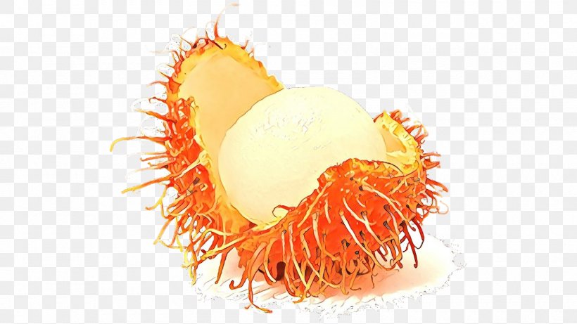 Supermarket Cartoon, PNG, 1600x900px, Rambutan, Blog, Fruit, Orange, Plant Download Free