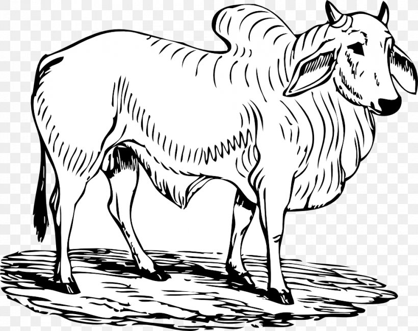 Camargue Cattle Brahman Cattle Charging Bull Clip Art, PNG, 969x767px, Camargue Cattle, Animal Figure, Artwork, Black And White, Brahman Cattle Download Free