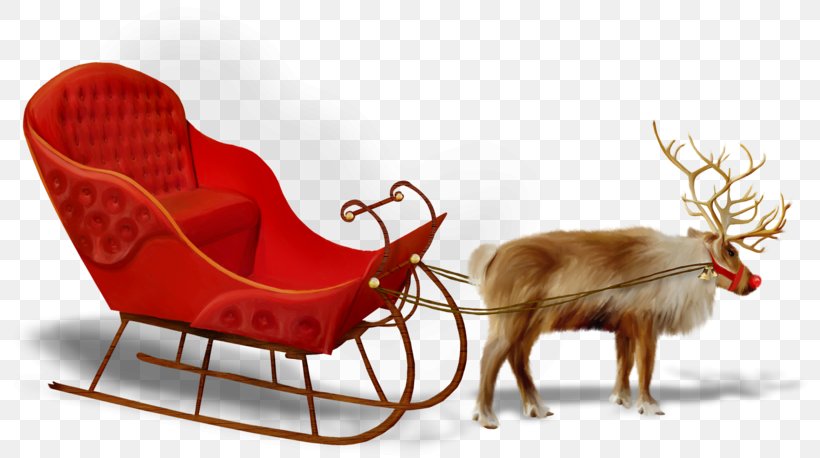 Photography Ded Moroz, PNG, 800x458px, Photography, Antler, Chair, Christmas, Christmas Ornament Download Free