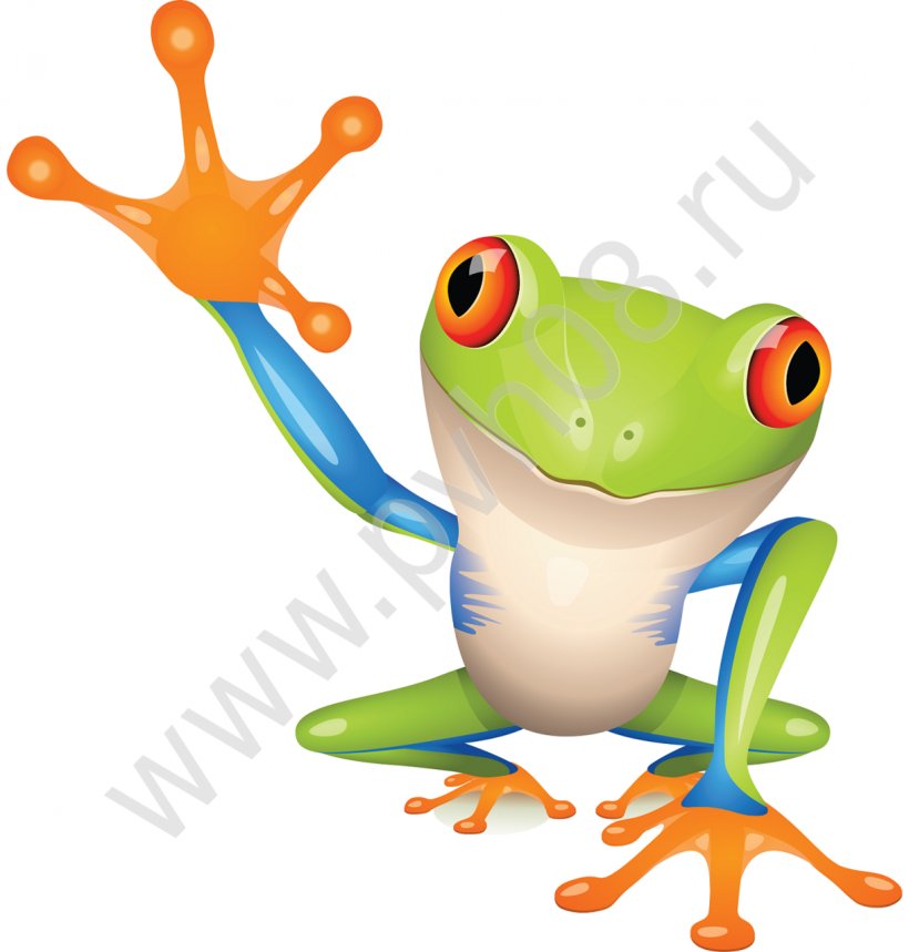 Australian Green Tree Frog Amphibian Clip Art, PNG, 1221x1280px, Frog, Amphibian, Animal, Australian Green Tree Frog, Cartoon Download Free