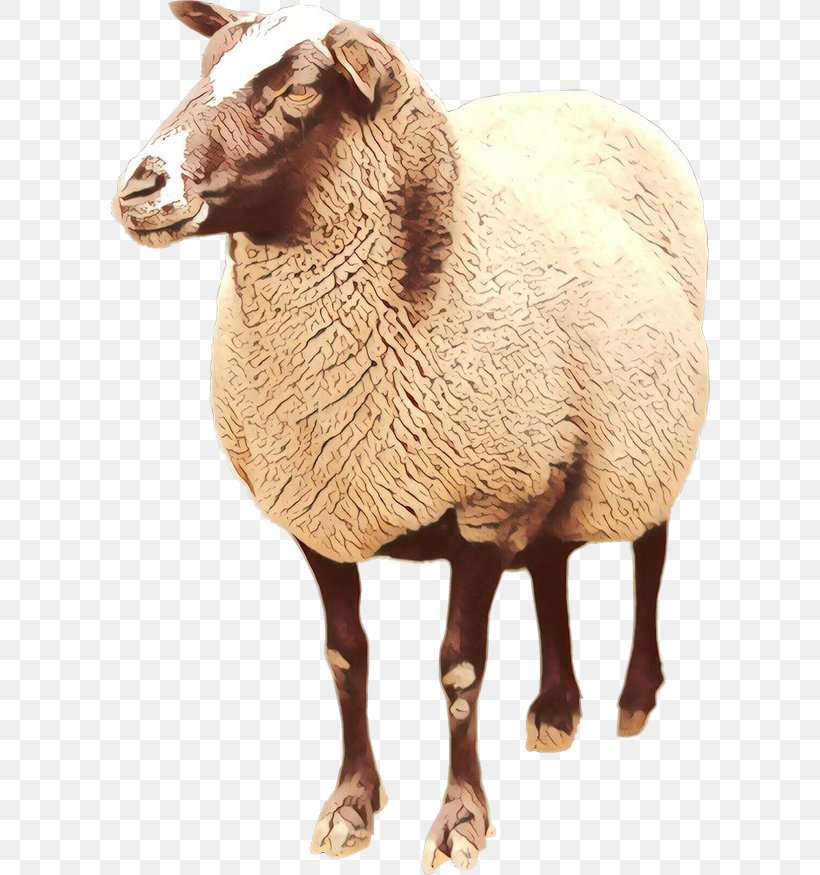 Boer Goat Lincoln Sheep Argali Romney Sheep Image, PNG, 600x875px, Boer Goat, Animal Figure, Argali, Cowgoat Family, Email Download Free