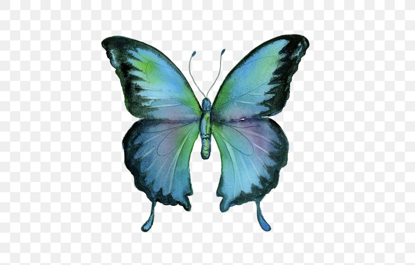 Brush-footed Butterflies Butterfly Blue Morpho Painting Art, PNG, 600x524px, Brushfooted Butterflies, Art, Arthropod, Blue Morpho, Brush Footed Butterfly Download Free