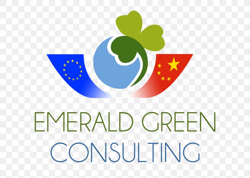 Consultant Environmental Consulting Marketing Management Consulting Consulting Firm, PNG, 1000x715px, Consultant, Architectural Engineering, Area, Brand, Business Download Free