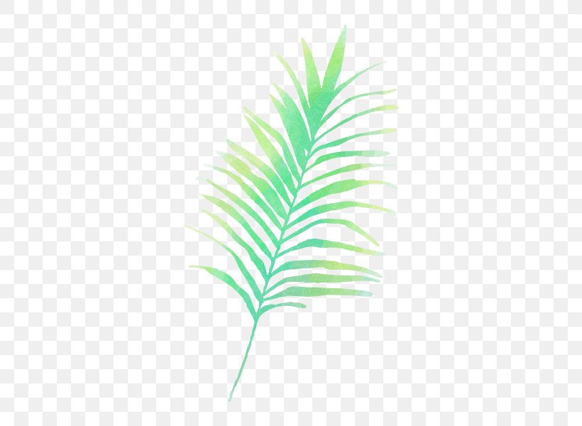 Palm Trees Vector Graphics Clip Art, PNG, 600x600px, Palm Trees, Arecales, Cartoon, Drawing, Feather Download Free