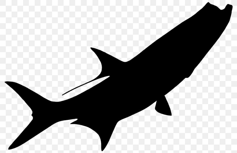 Requiem Sharks Clip Art Fauna Line, PNG, 800x529px, Requiem Sharks, Animal Figure, Carcharhiniformes, Cartilaginous Fish, Cretoxyrhina Download Free