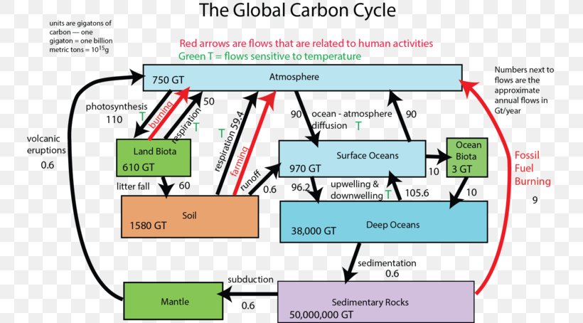 Carbon Cycle Geosphere Diagram Process, PNG, 744x454px, Carbon Cycle, Antoine Lavoisier, Area, Atmosphere, Atmosphere Of Earth Download Free