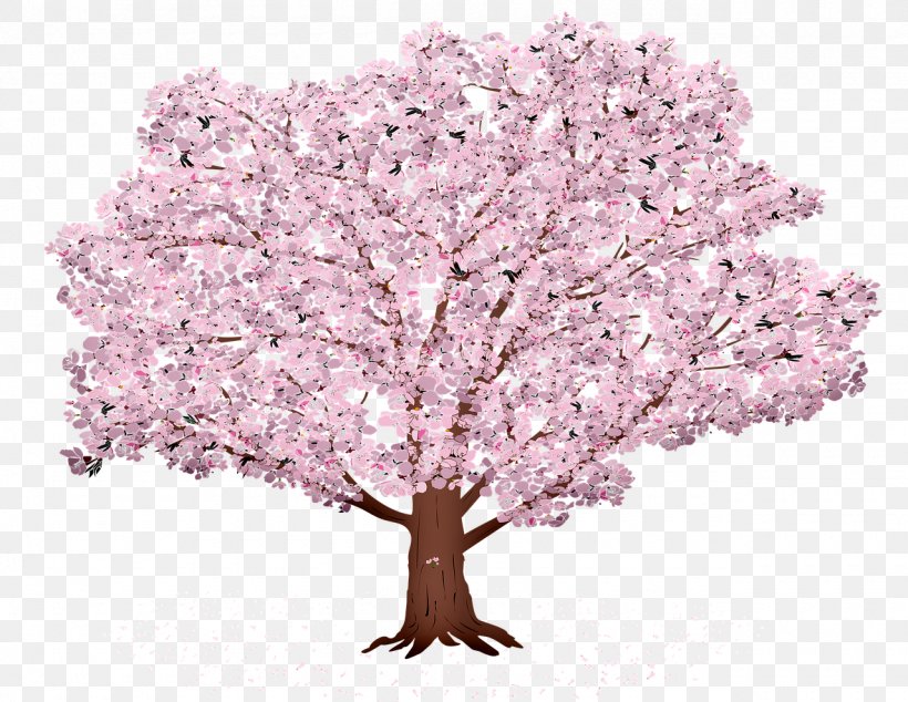 Cherry Blossom Tree, PNG, 1280x990px, Cherry Blossom, Blossom, Branch, Cherries, Flower Download Free