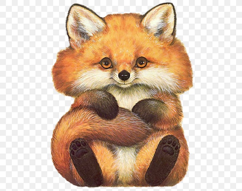 Red Fox Kit Fox Whiskers Fur Snout, PNG, 505x647px, Red Fox, Carnivoran, Dog Like Mammal, Fauna, Fox Download Free