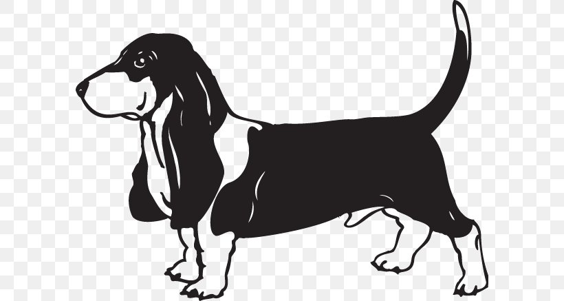 Basset Hound Treeing Walker Coonhound Dachshund Hunting, PNG, 600x437px, Basset Hound, Black And White, Carnivoran, Conformation Show, Coonhound Download Free