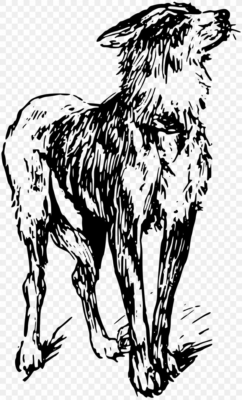 Dog Puppy Canidae Clip Art, PNG, 1452x2400px, Dog, Art, Big Cats, Black And White, Camel Like Mammal Download Free