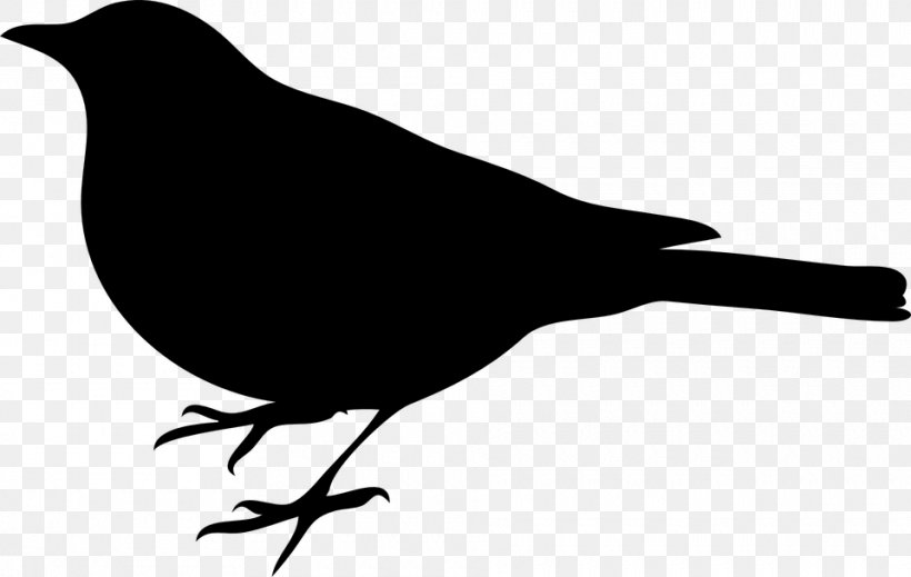 Northern Mockingbird To Kill A Mockingbird Clip Art, PNG, 960x608px, Mockingbird, American Crow, Beak, Bird, Black And White Download Free