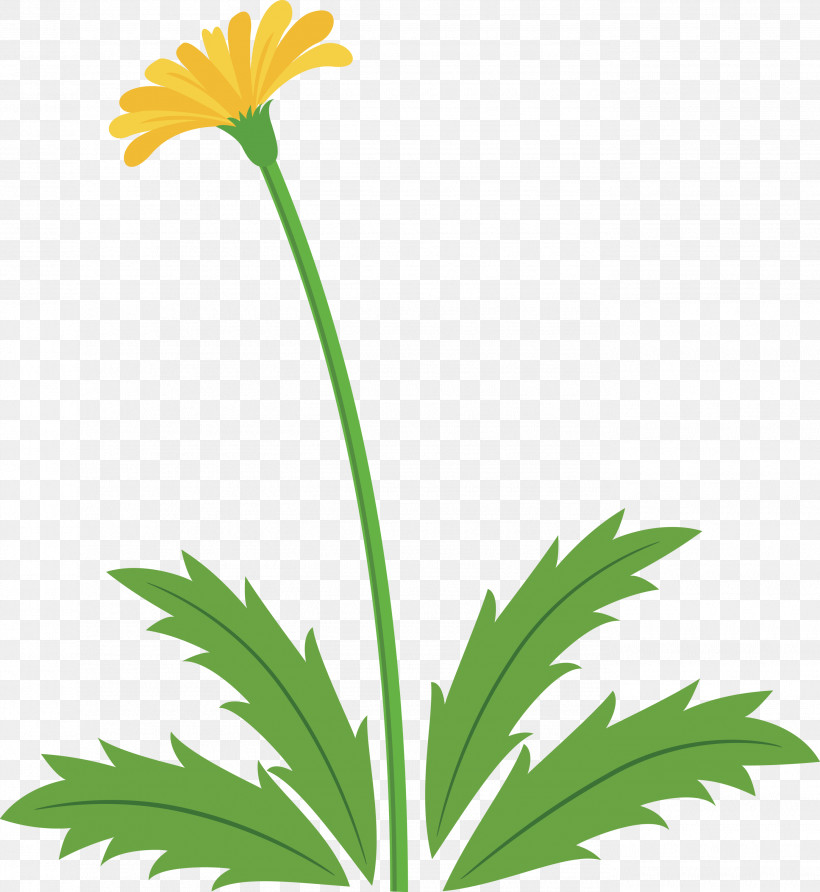 Dandelion Flower Easter Day Flower Spring Flower, PNG, 2755x3000px, Dandelion Flower, Chamomile, Easter Day Flower, English Marigold, Flower Download Free