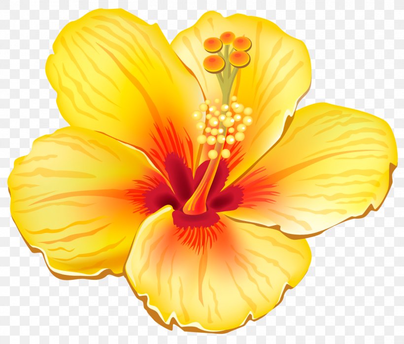 Flower Clip Art, PNG, 1322x1125px, Flower, Color, Flowering Plant, Herbaceous Plant, Hibiscus Download Free