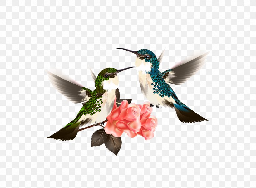 Hummingbird Flower Illustration, PNG, 1694x1247px, Hummingbird, Beak, Bird, Canvas Print, Drawing Download Free