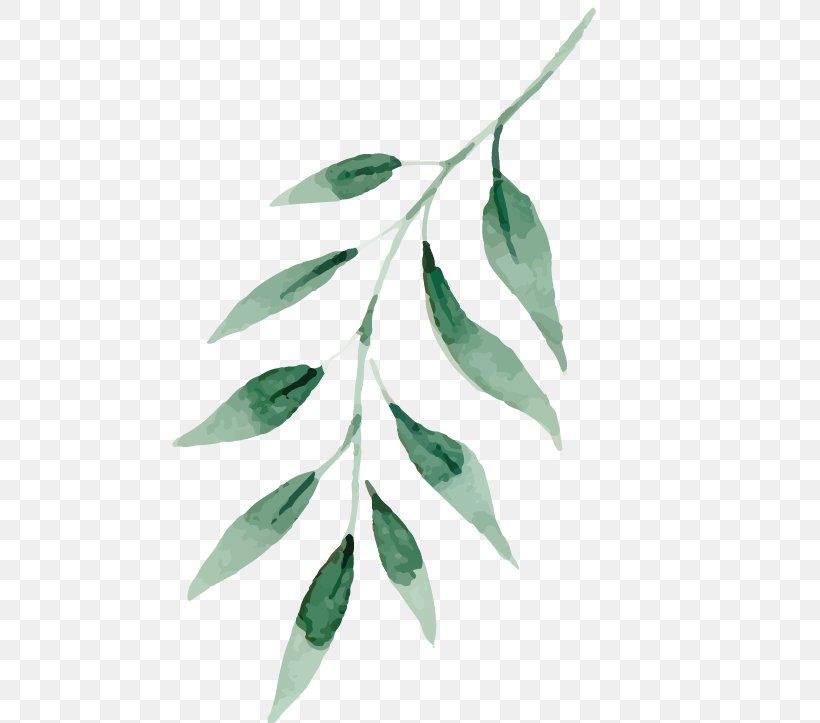 Watercolor Painting Drawing Art Leaf, PNG, 564x723px, Watercolor Painting, Art, Branch, Drawing, Kala Ghoda Download Free