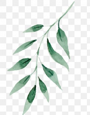 Drawing Painting Leaf, PNG, 2791x3324px, Leaf, Drawing, Flower, Heart ...