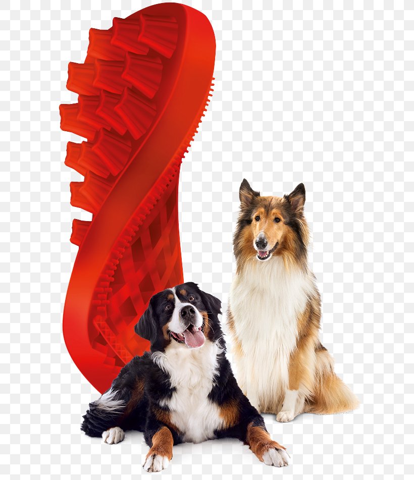 Dog Domestic Long-haired Cat Brush Pet, PNG, 624x951px, Dog, Brush, Cat, Companion Dog, Dog Breed Download Free