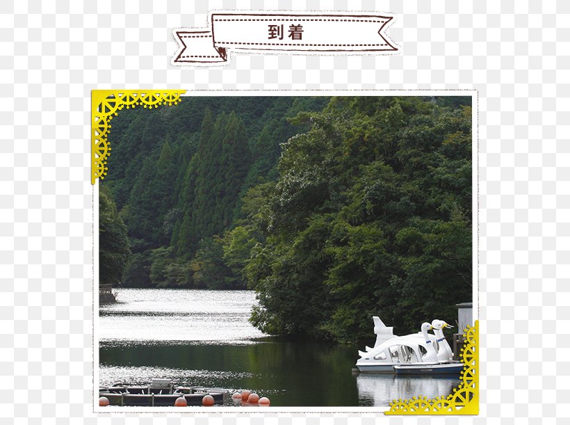 Ijira Lake Hypomesus Nipponensis Boat Waterway, PNG, 622x611px, Hypomesus Nipponensis, Angling, Boat, Car, Cooking Download Free