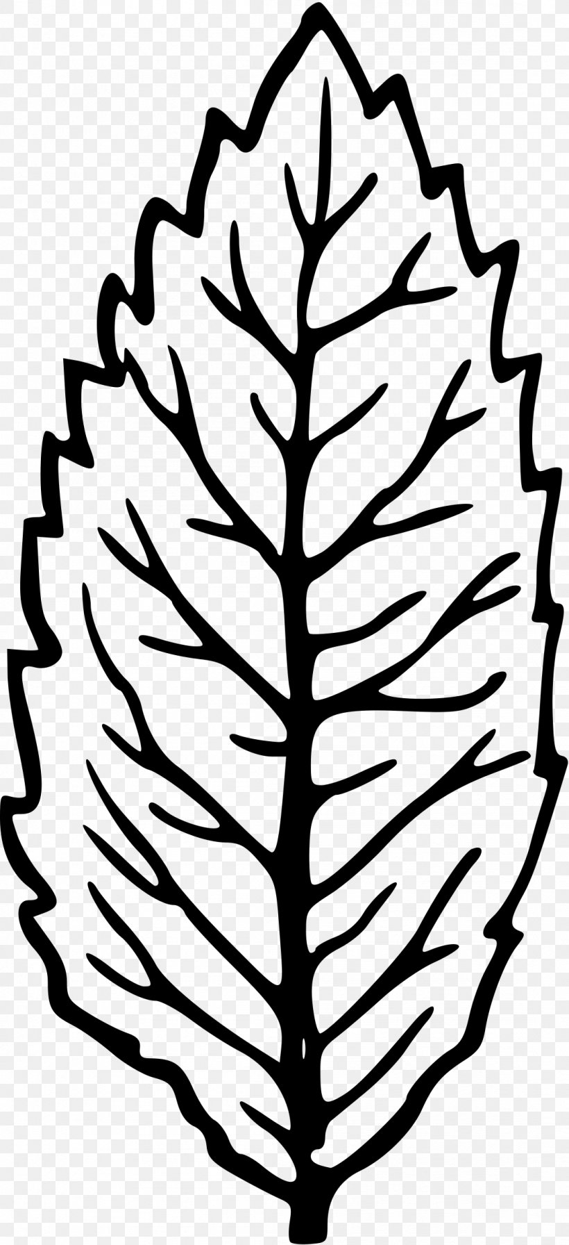 Leaf Plant Stem Clip Art, PNG, 1098x2400px, Leaf, Artwork, Black And White, Branch, Flora Download Free