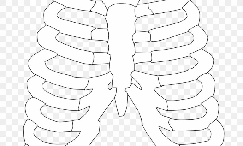 Rib Cage Human Skeleton Human Body Clip Art, PNG, 992x596px, Watercolor, Cartoon, Flower, Frame, Heart Download Free