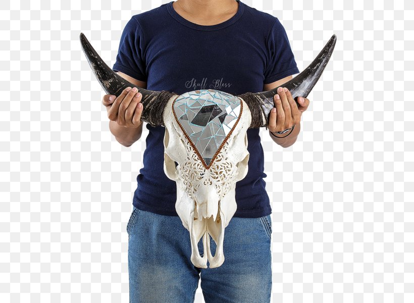 XL Horns Antler Skull Neck, PNG, 600x600px, Horn, Antler, Barbed Wire, Cattle, Hunting Download Free