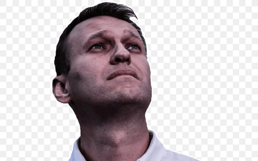 Alexei Navalny Chin Telegram Cheek Jaw, PNG, 512x512px, 2018, Alexei Navalny, Aggression, Beard, Cheek Download Free