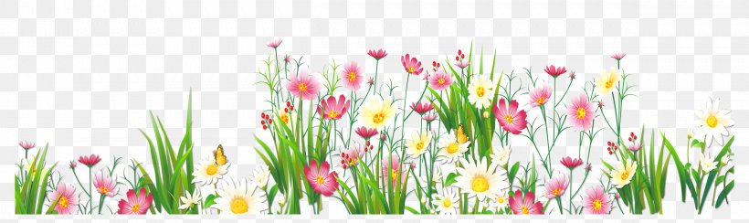 Flower Grasses Clip Art, PNG, 2419x721px, Flower, Artificial Flower, Common Daisy, Cut Flowers, Floral Design Download Free