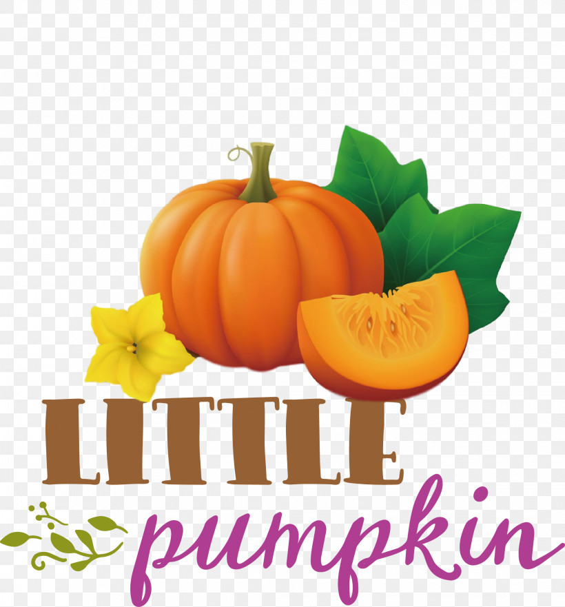 Little Pumpkin Thanksgiving Autumn, PNG, 2063x2217px, Little Pumpkin, Autumn, Fruit, Jackolantern, Lantern Download Free
