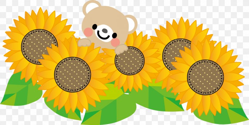 Common Sunflower Summer Sunflower Seed Shochū Omimai Mōshiagemasu, PNG, 1097x553px, Common Sunflower, Bon Festival, Cropping, Daisy Family, Flower Download Free