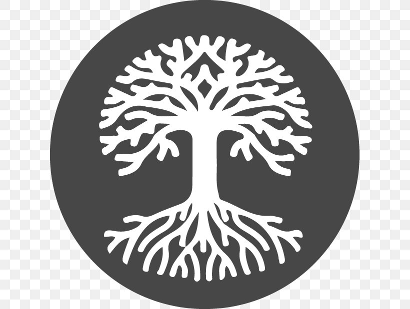 Tree Clip Art, PNG, 619x619px, Tree, Black And White, Logo, Monochrome, Oak Download Free
