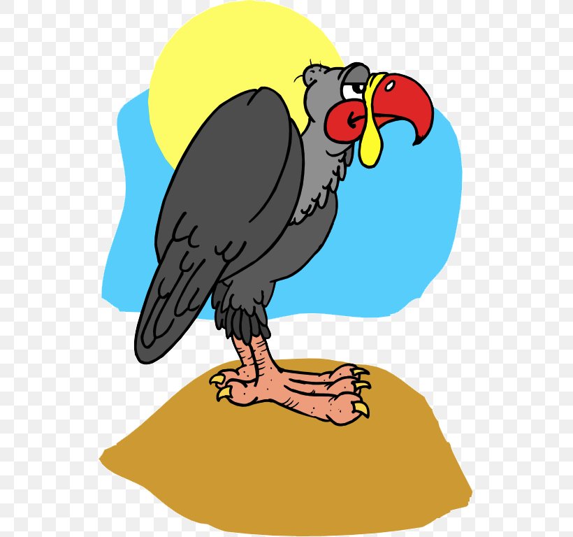 Macaw Hawk Buzzard Vulture Clip Art, PNG, 537x768px, Macaw, Animal, Artwork, Beak, Bird Download Free
