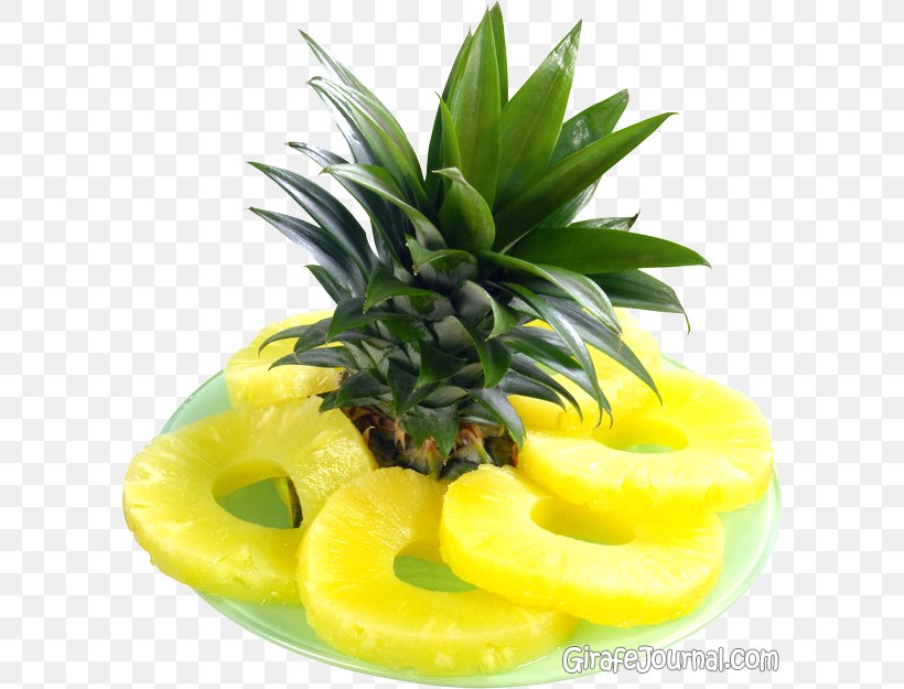 Pineapple Fruit Clip Art, PNG, 600x625px, Pineapple, Ananas, Auglis, Bromeliaceae, Food Download Free