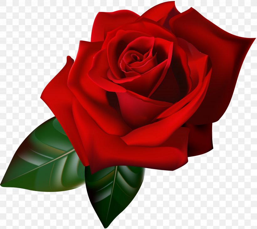 Rose Animation Gfycat, PNG, 4763x4246px, Rose, Animation, Blue Rose, Cut Flowers, Emoticon Download Free