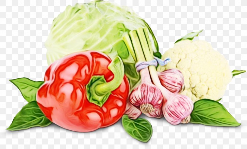 Vegetables Cartoon, PNG, 835x505px, Vegetable, Anthurium, Cabbage, Cooking, Cucumber Download Free