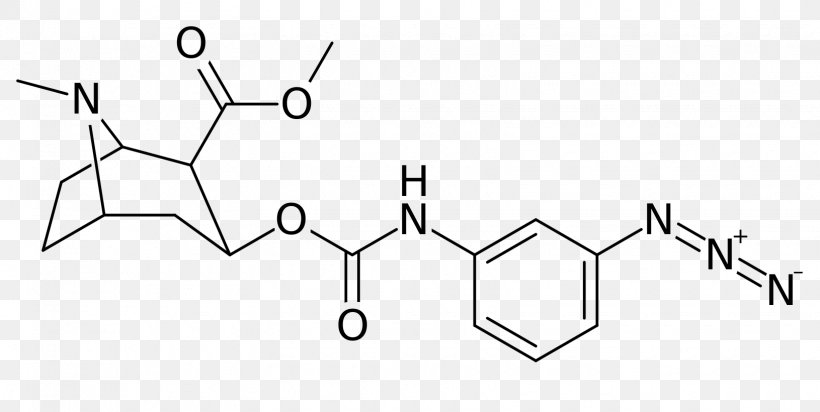 Coca Alkaloid Tropane Point Cocaine Lewis Structure, PNG, 1630x820px, Coca Alkaloid, Alkaloid, Area, Auto Part, Black And White Download Free