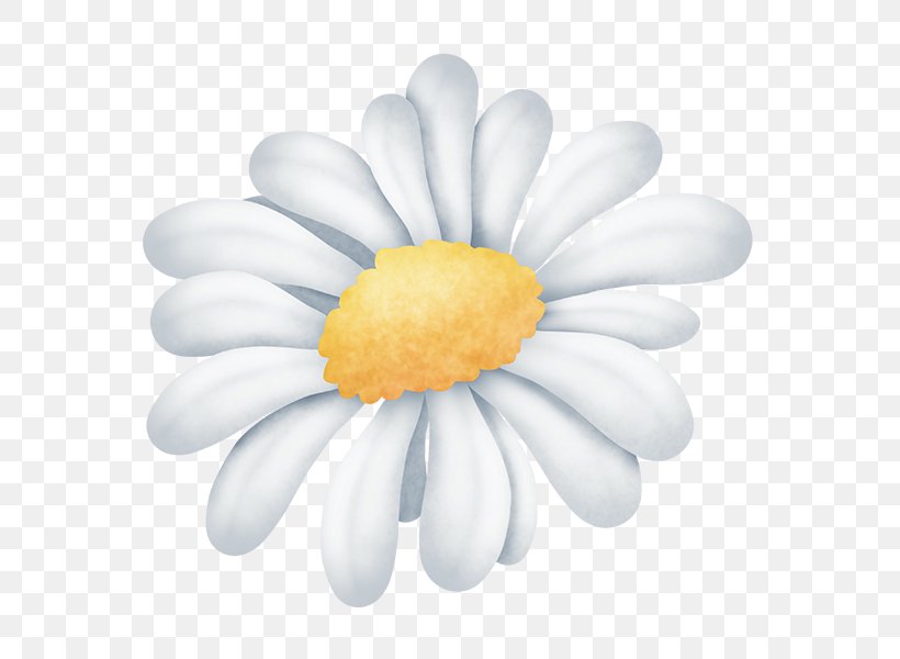 LiveInternet Spring Framework Quotation Petal, PNG, 600x600px, Liveinternet, Daisy, Daisy Family, Flower, Flowering Plant Download Free