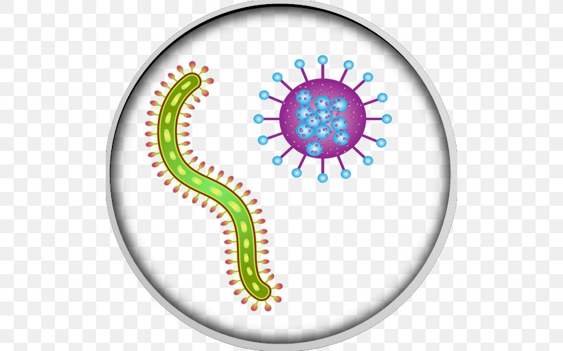 Microbiology Bacteria, PNG, 512x512px, Microbiology, Area, Bacteria, Bacteriology, Biology Download Free