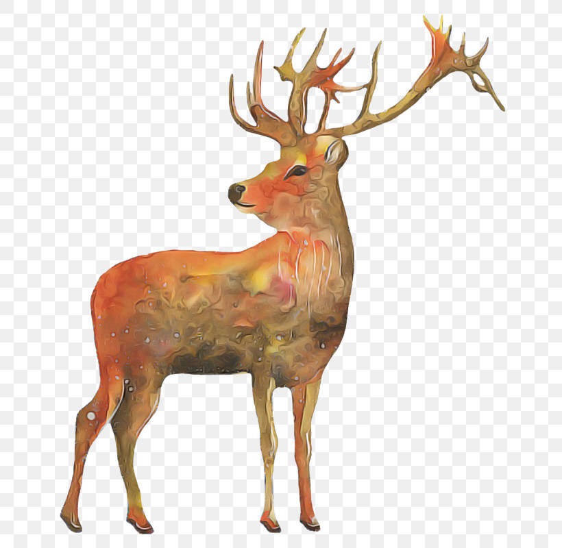 Reindeer, PNG, 728x800px, Reindeer, Animal Figure, Antler, Deer, Elk Download Free