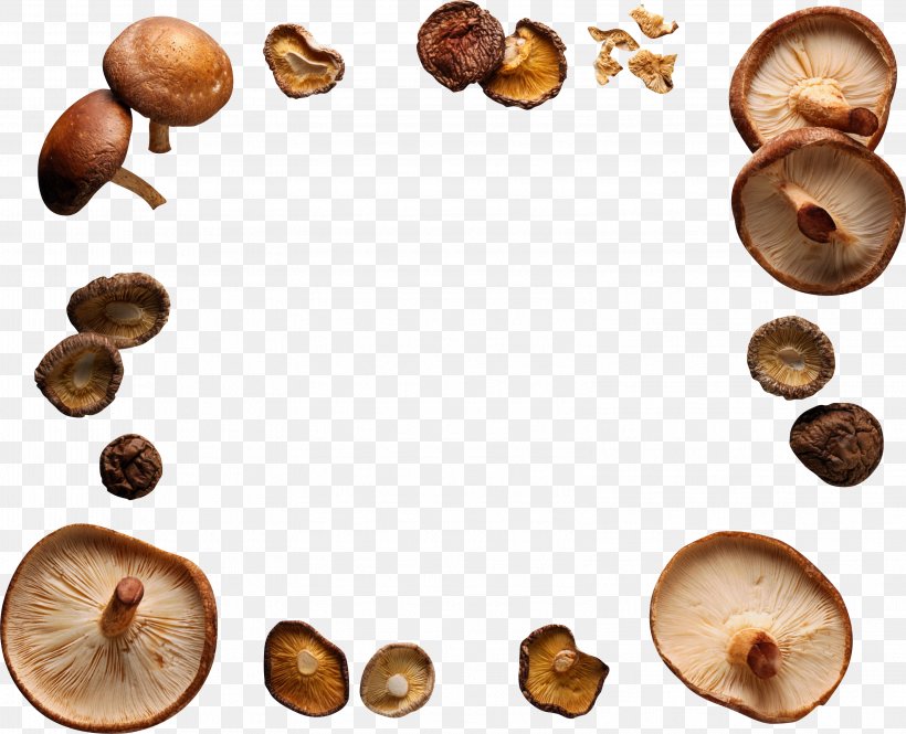 Shiitake Edible Mushroom Food, PNG, 3156x2560px, Shiitake, Edible Mushroom, Food, Fungus, Hazelnut Download Free