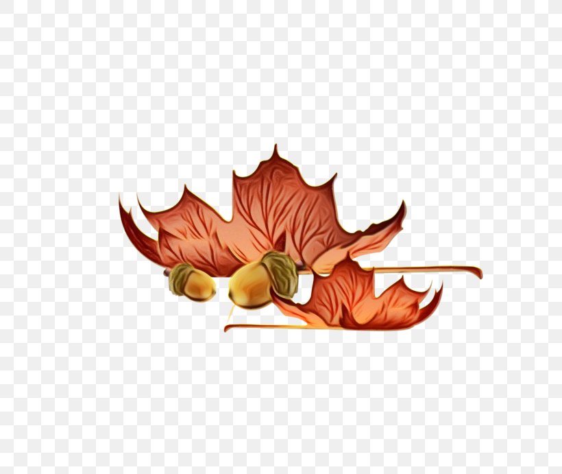 Autumn Watercolor, PNG, 800x691px, Watercolor, Autumn, Autumn Leaf Color, Deciduous, Leaf Download Free