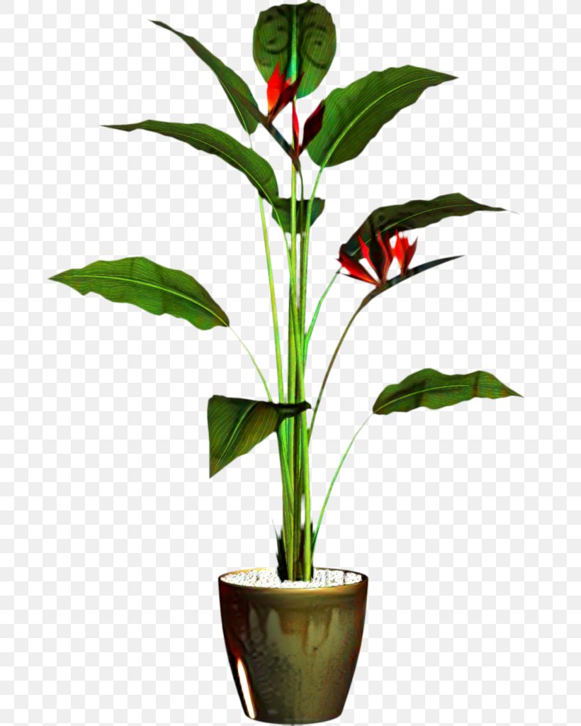 Flower Clip Art Plant Stem Leaf, PNG, 696x1024px, Flower, Anthurium, Botany, Flowering Plant, Flowerpot Download Free