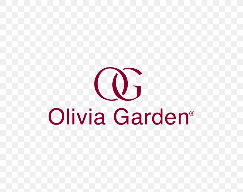 Hairbrush Olivia Garden International Beauty Supply Cosmetologist Hair Care, PNG, 568x649px, Hairbrush, Area, Artificial Hair Integrations, Beauty Parlour, Brand Download Free