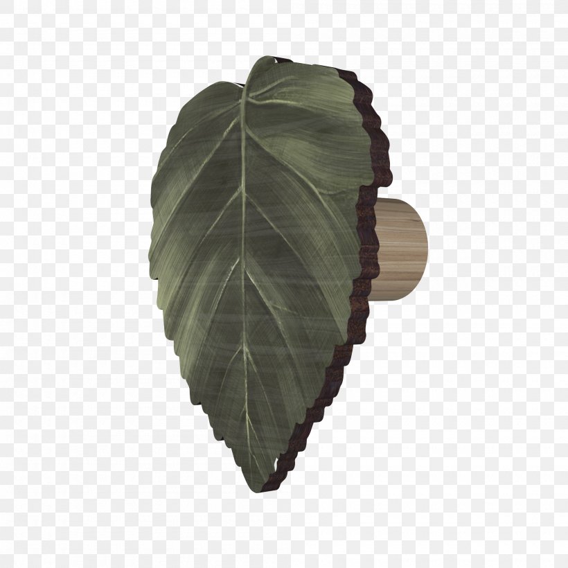 Leaf, PNG, 2000x2000px, Leaf, Plant Download Free