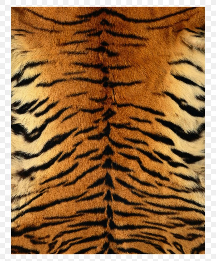 Siberian Tiger Leopard Fur Texture Pattern, PNG, 1142x1376px, Siberian Tiger, Animal Print, Big Cats, Carnivoran, Cat Like Mammal Download Free