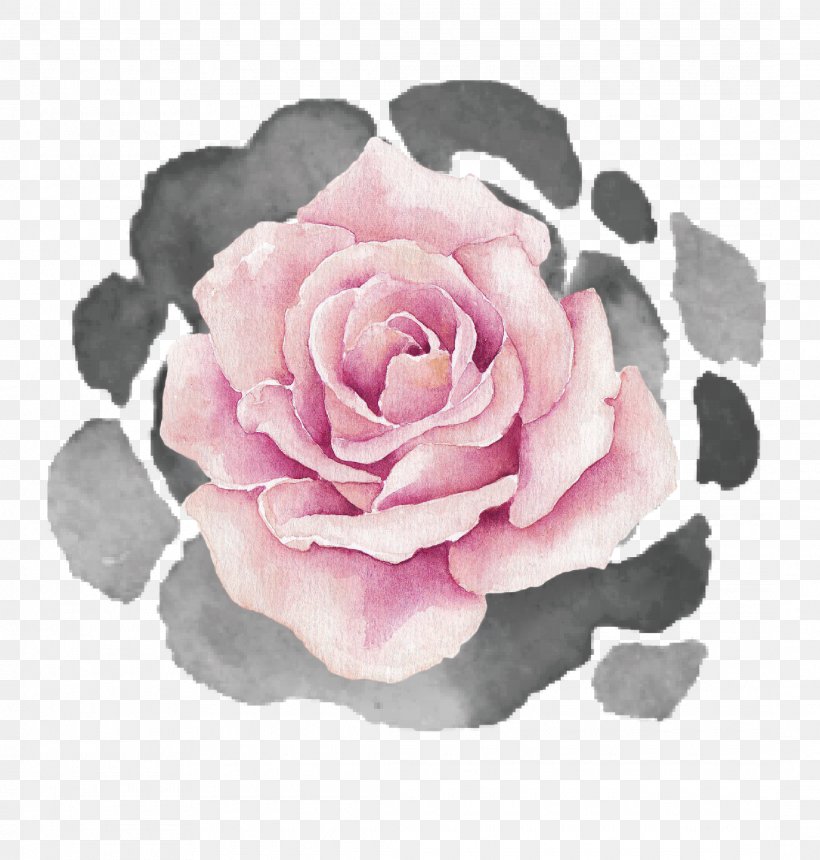 Garden Roses Cabbage Rose Floribunda Petal, PNG, 2175x2282px, Garden Roses, Artificial Flower, Cabbage Rose, Camellia, Cut Flowers Download Free