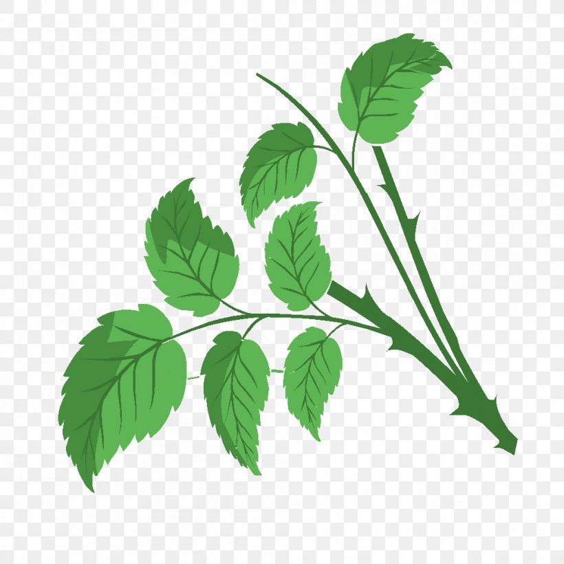 Herbalism Drawing History Technology, PNG, 1000x1000px, Herbalism, Branch, Drawing, Educational Game, English Download Free