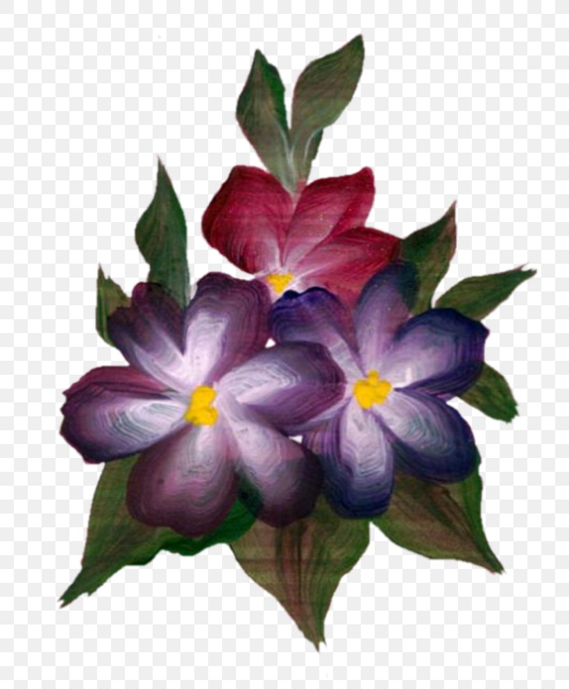 Flowering Plant Herbaceous Plant, PNG, 800x993px, Flowering Plant, Flower, Herbaceous Plant, Lilac, Petal Download Free