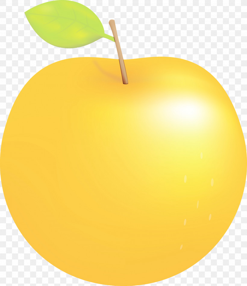 Yellow Fruit Apple Apple, PNG, 2593x3000px, Apple, Cartoon Apple, Fruit, Paint, Watercolor Download Free