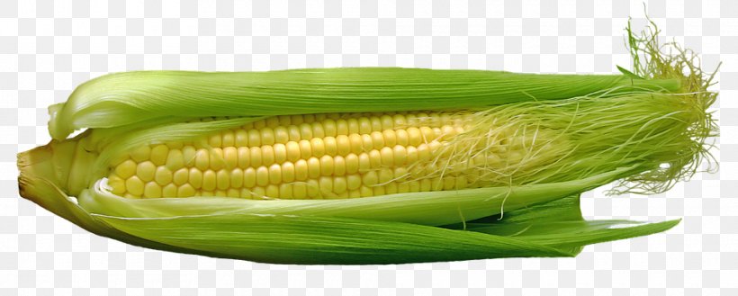Corn On The Cob Maize Food Corn Kernel, PNG, 960x386px, Corn On The Cob, Commodity, Corn Kernel, Corncob, Cuisine Download Free